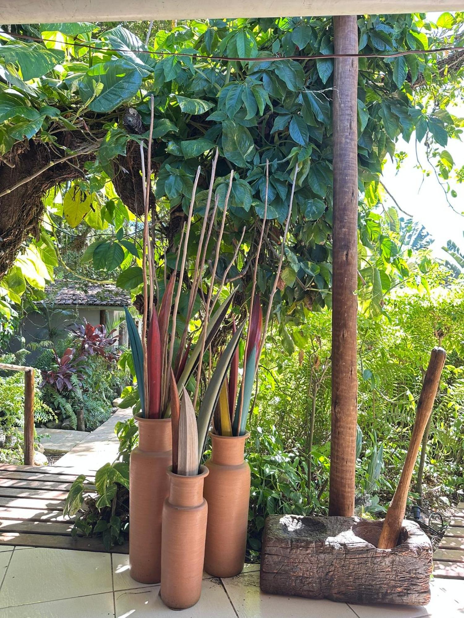 Bosque Do Arraial *