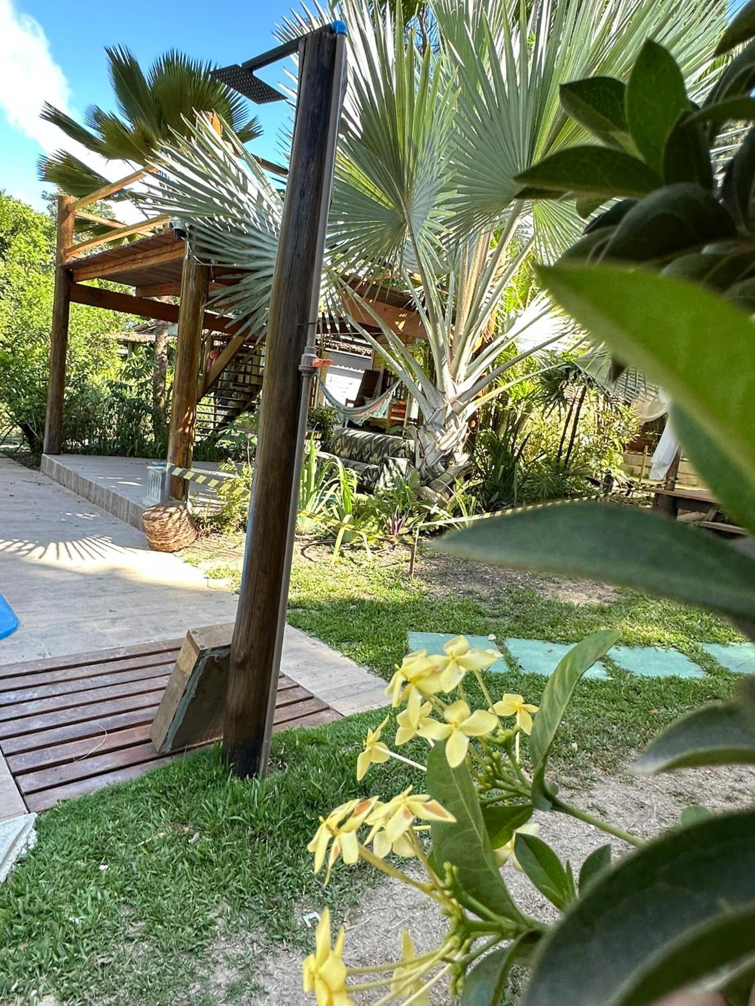 Bosque Do Arraial