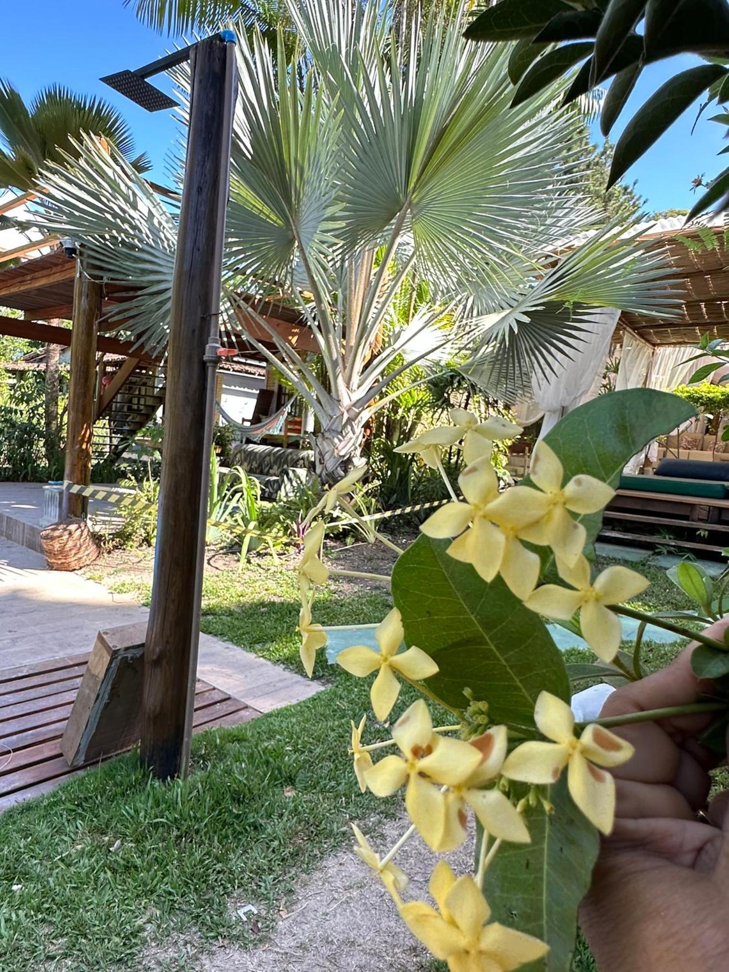 Bosque Do Arraial