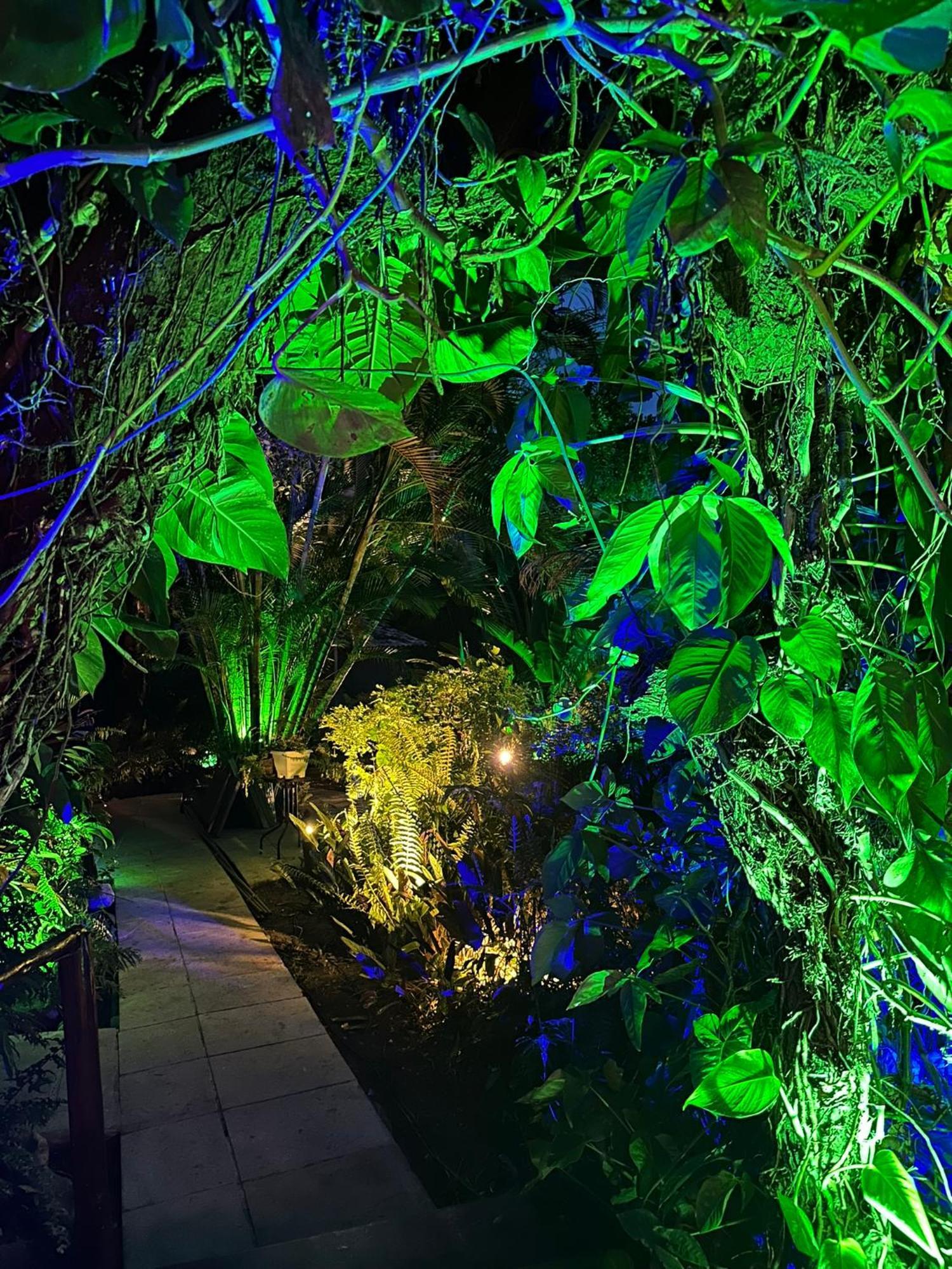 Bosque Do Arraial Lodge Porto Seguro